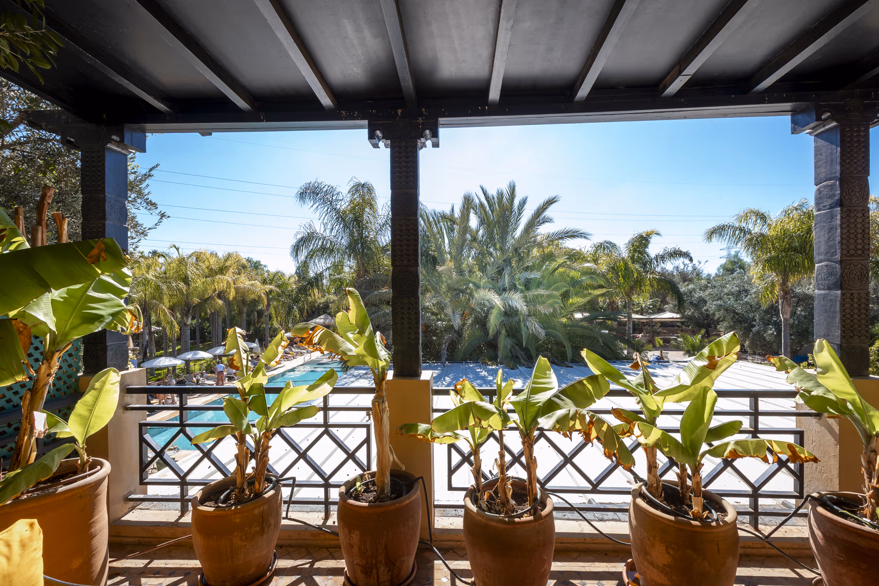 Pool view Suite with Terrace (80m²) 4