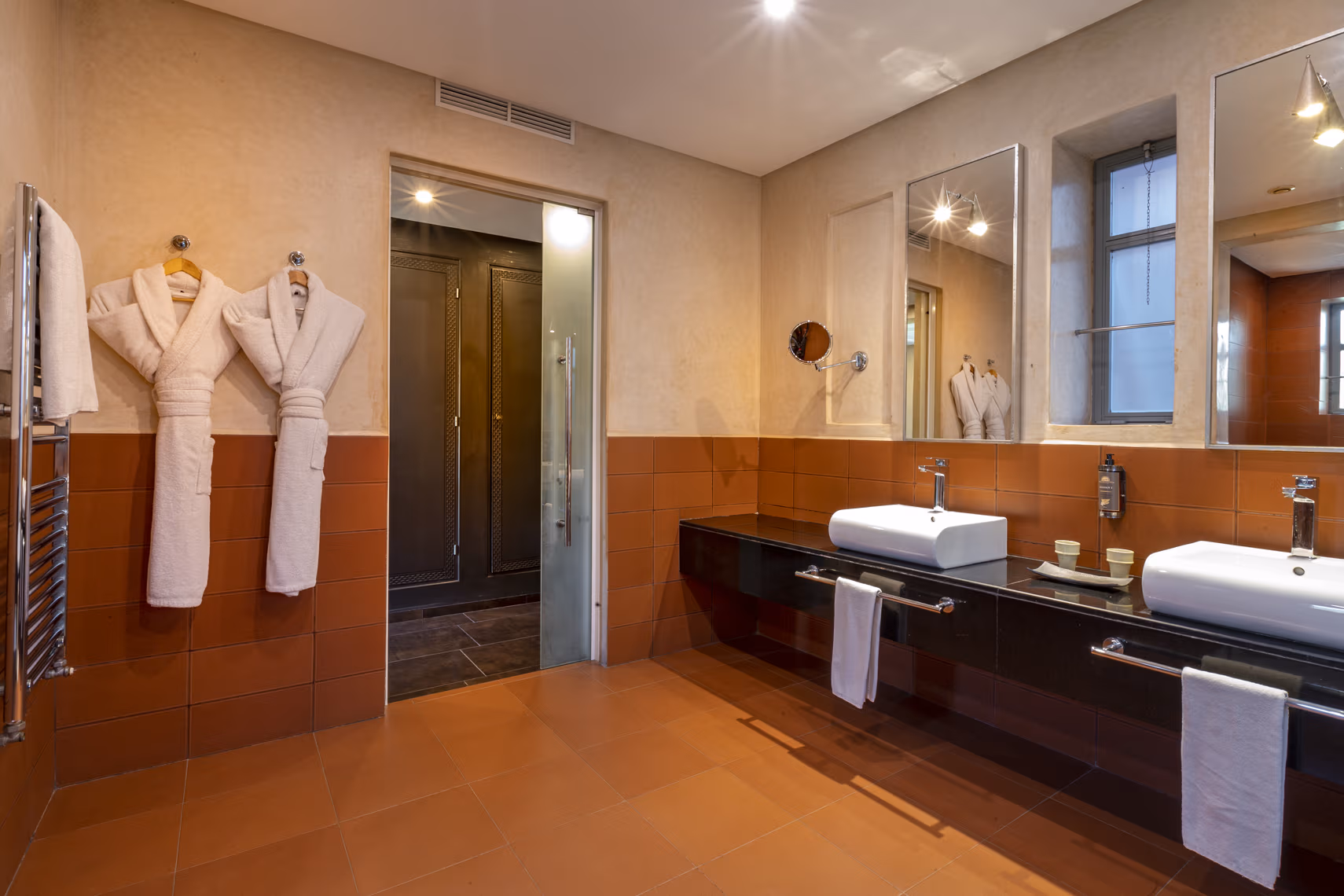 Suite with Terrace (55m²) 4
