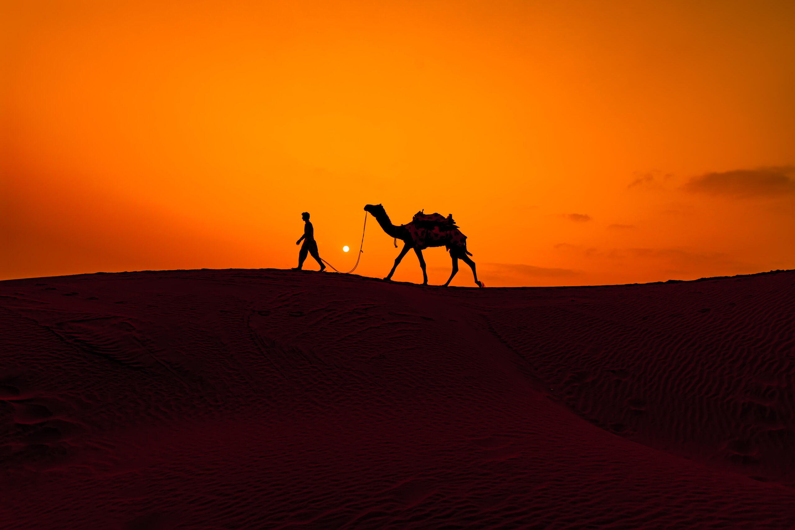 Beyond the Medina: The Ultimate Guide to Luxury Pool Day Passes in Marrakech